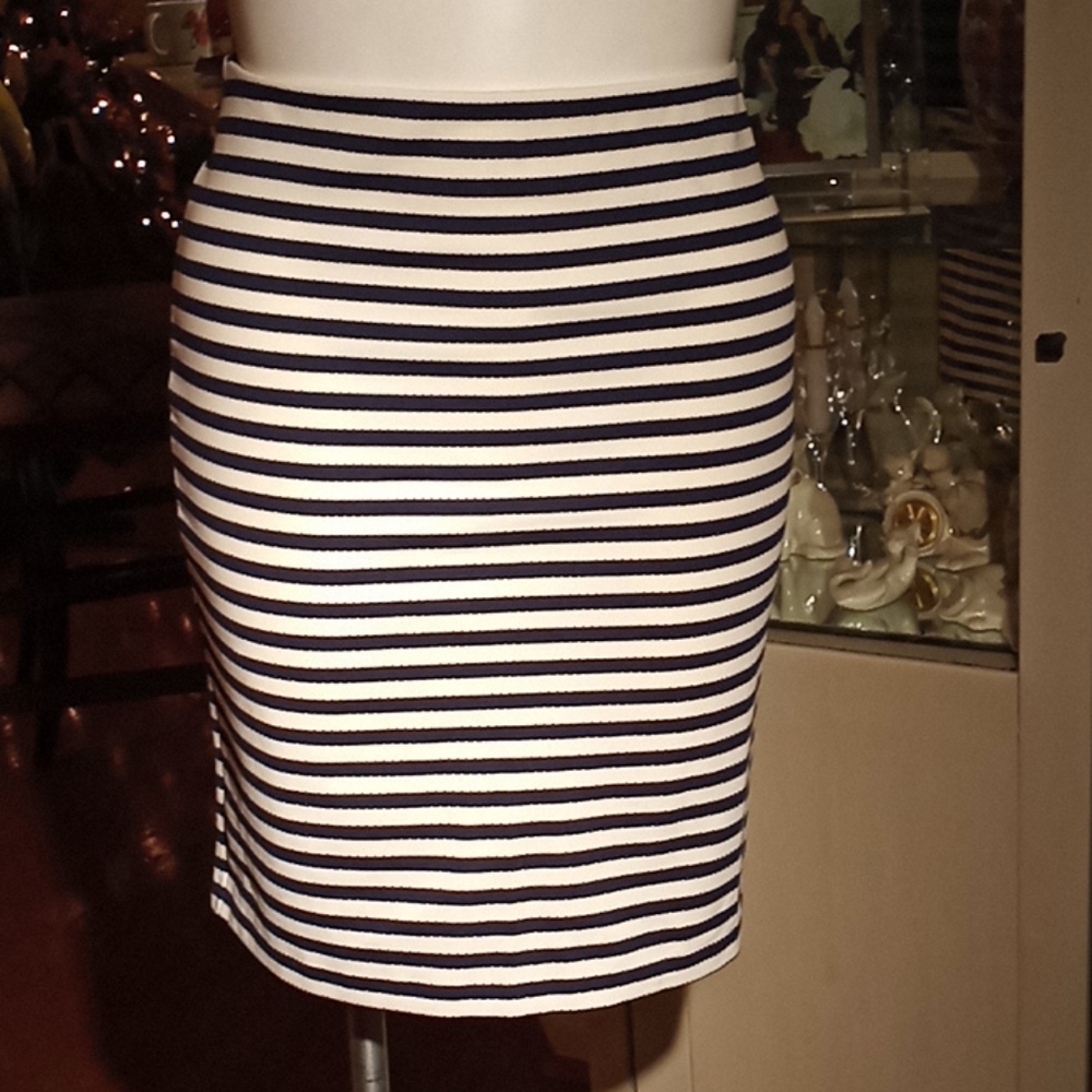 Navy blue and beige brand new skirt